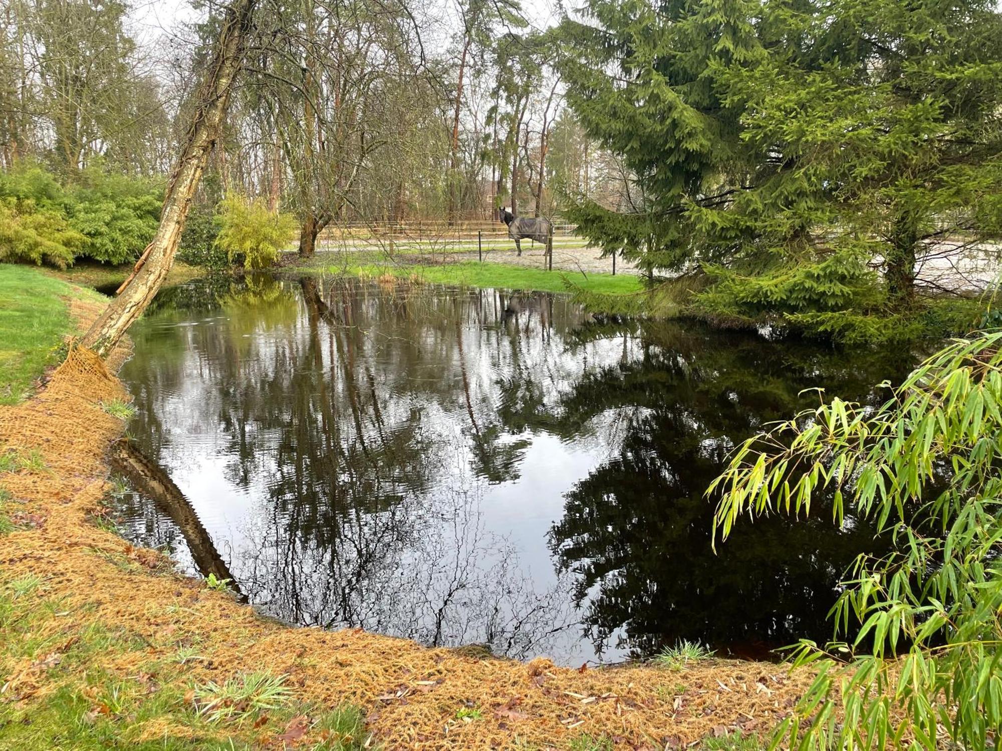 Апартаменты Haus Am Teich Ворпсведе Экстерьер фото